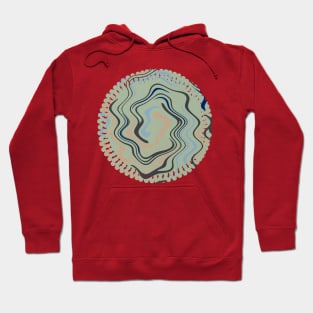 Psychedelic 02 Hoodie